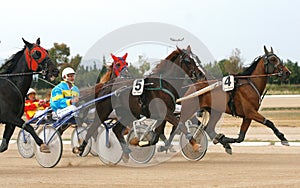Horse harness racing in palma de mallorca hippodrome