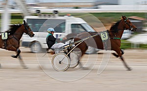 Horse harness sulky race in palma de mallorca hippodrome panning wide