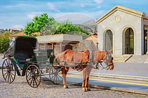The horse harnessed in the carriage on the street of the small southern town