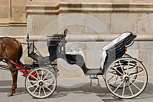 Horse harnessed to an old carriage