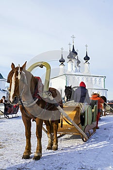 Horse harnessed to a sledge. Suzdal, Russia