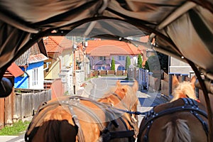 Horse hauls a traditional wooden trailer in the countryside of Romania