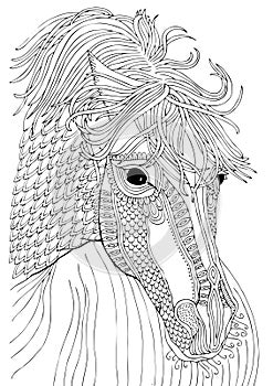 Horse head, adult coloring page
