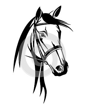 Horse head with bridle black vector outline