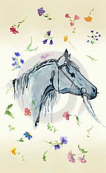 Horse head with bridle silhouette hand drawing watercolor with wild flowers on aged paper.