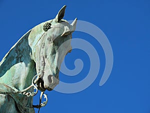 Horse head in bronze photo