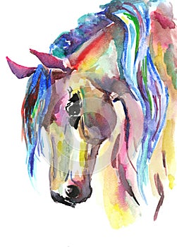 Un cavallo Testa. colore acquerello illustrazioni 