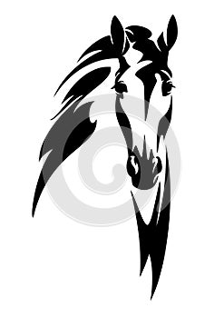 Horse head en face vector design