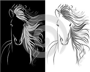 Horse head graphic drawing