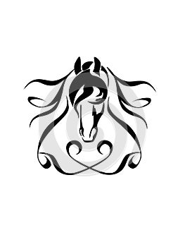 Horse head, illustration.