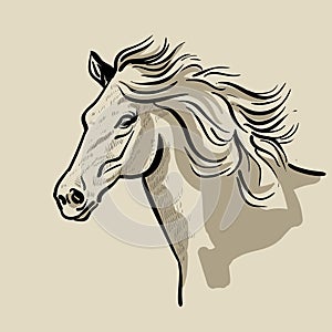 Horse head with a mane. Hand drawn vector illustration.