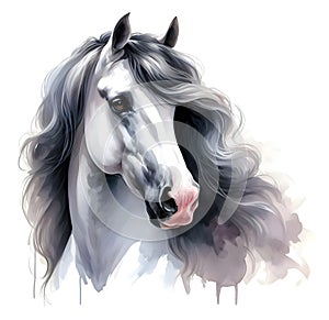 Horse head. Portrait. White Horse. Watercolor. Isolated illustration on a white background. Banner. Close-up. Generative