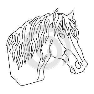 Horse head in profile in one continuous line drawing vector photo