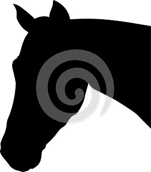 Horse head profile silhouette