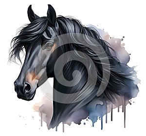 Horse head. Stallion. Portrait. Watercolor paint. Isolated illustration on a white background. Banner. Close-up