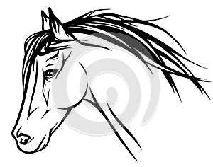 Horse head vector