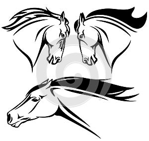 Horse head vector