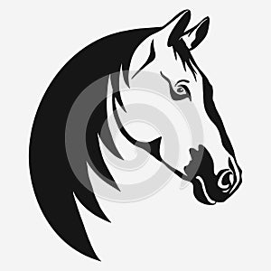 Horse head vector