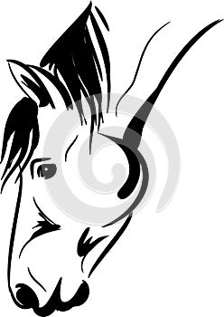 Horse head vector illustration