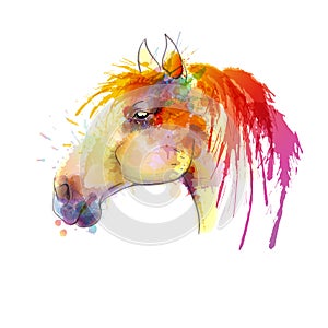 Horse head watercolor painting