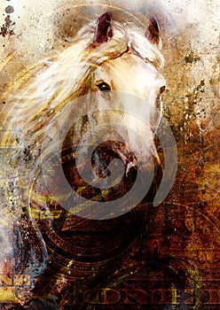Horse heads, abstract ocre background, with one dollar collage. texture background