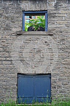 Horse Heads in Old Stone Building Window Frame