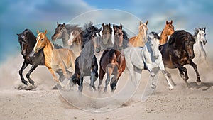 Horse herd run in desert