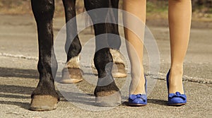 Horse hoof feet near the feet of woman shoes