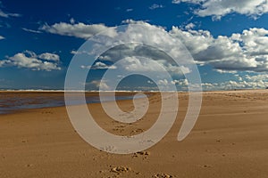 Horse Hoof Prints on Beach with Blue Sky