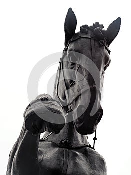 Horse hoof sculpture