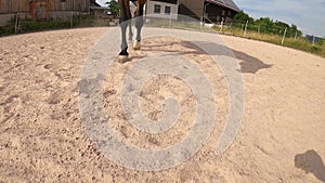 Horse Hoof walk and step in sand