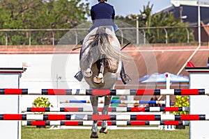 Horse Hoofs Rider Jump Poles Behind Rear Hoofs photo