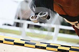 Horse hooves close-up when jumping over a barrier. Details of equestrian sports