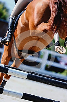 Horse hooves close-up when jumping over a barrier. Equestrian sport. Bottom view. Shooting from a lower angle