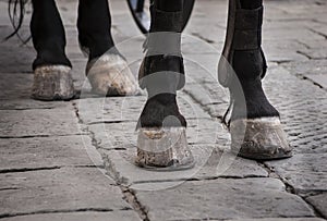 Horse hooves on the cobble street photo