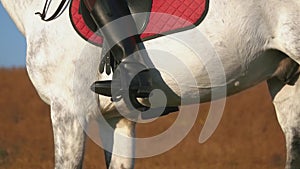 Horse hooves gallop on horseback . Slow motion. Close up