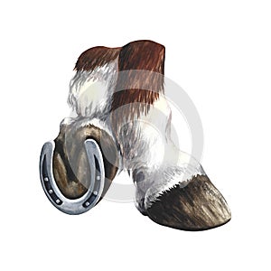 Horse hooves with horseshoes. Watercolor illustration. For printing, stickers and labels. For postcards, business cards