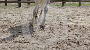Horse hooves run through sand in slow motion HD.