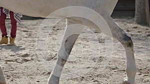 Horse hooves run through sand in slow motion HD.