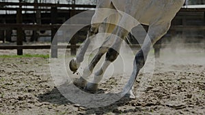 Horse hooves run through sand in slow motion HD.