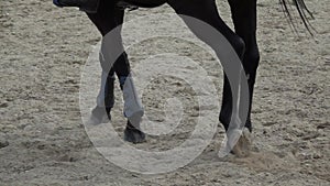 Horse hooves running through a sandy field. Slow motion video