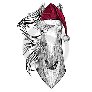 Horse, hoss, knight, steed, courser Christmas illustration Wild animal wearing christmas santa claus hat Red winter hat