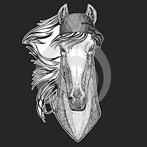 Horse, hoss, knight, steed, courser Cool pirate, seaman, seawolf, sailor, biker animal for tattoo, t-shirt, emblem