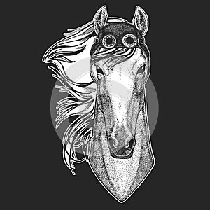 Horse, hoss, knight, steed, courser Hand drawn image for tattoo, emblem, badge, logo, patch, t-shirt Cool animal wearing