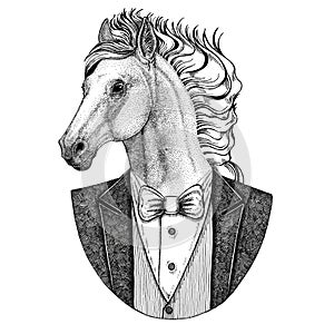 Horse, hoss, knight, steed, courser Hipster animal Hand drawn illustration for tattoo, emblem, badge, logo, patch, t