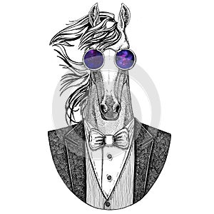 Horse, hoss, knight, steed, courser Hipster animal Hand drawn illustration for tattoo, emblem, badge, logo, patch, t