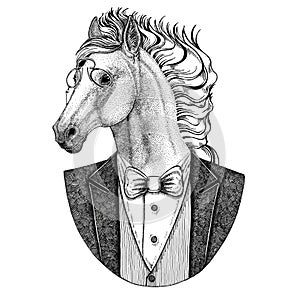 Horse, hoss, knight, steed, courser Hipster animal Hand drawn illustration for tattoo, emblem, badge, logo, patch, t