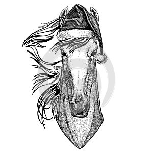 Horse, hoss, knight, steed, courser wearing christmas Santa Claus hat. Hand drawn image for tattoo, emblem, badge, logo