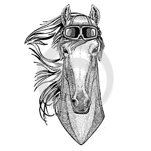 Horse, hoss, knight, steed, courser wearing leather helmet Aviator, biker, motorcycle Hand drawn illustration for tattoo