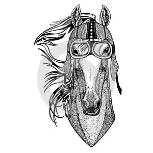 Horse, hoss, knight, steed, courser wearing motorcycle, aero helmet. Biker illustration for t-shirt, posters, prints.